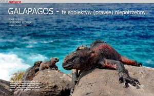 F12_galapagos
