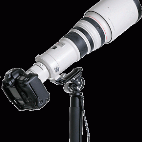 monopod_teleobiektyw_podpora