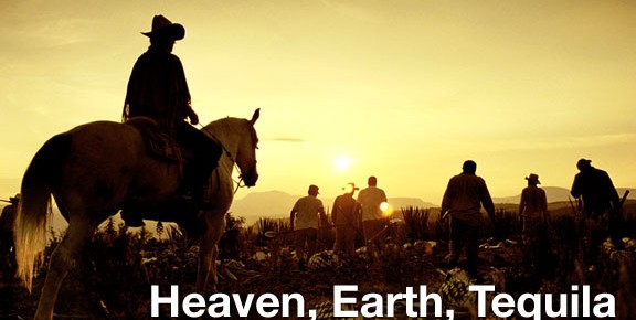 Heaven, Earth, Tequila