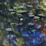 marzena_hmielewicz-5552